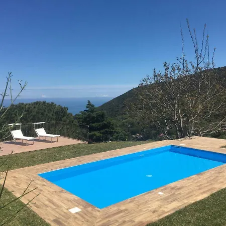 Lavanda チェファル